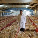 Ζητούνται εργάτες από εταιρεία εμπορίας πουλερικών