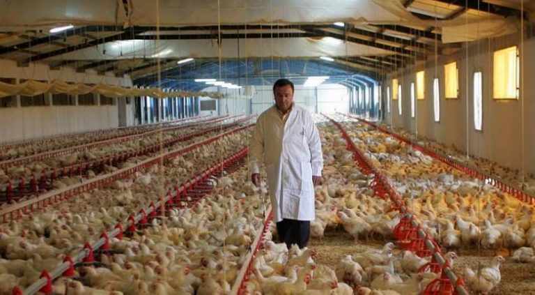 Ζητούνται εργάτες από εταιρεία εμπορίας πουλερικών