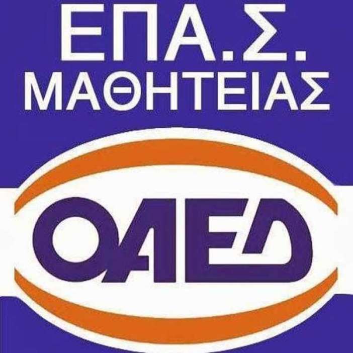 ΟΑΕΔ: Οι τελικοί πίνακες για την πρόσληψη εκπαιδευτικών για τις ΕΠΑΣ Μαθητείας