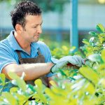 Ζητείται Υπάλληλος Κέντρου Κήπου