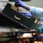Ζητείται Άτομο για συσκευαστήριο φρούτων - λαχανικών