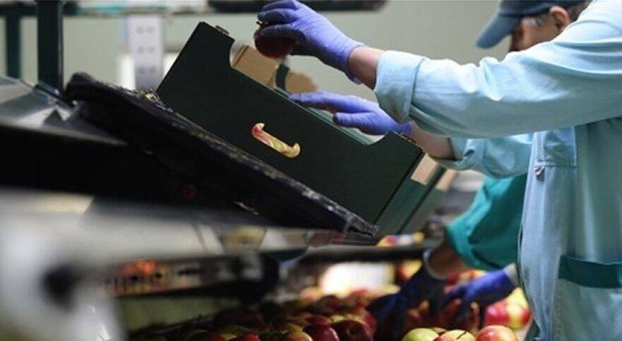 Ζητείται Φορτοεκφορτωτής και Συσκευαστές για χονδρική οπωροκηπευτικών