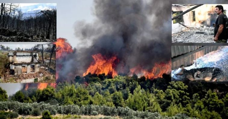 Αναζωπυρώσεις και δεκάδες καταστροφές στις Κεχριές – Να κηρυχθεί η Κορινθία σε κατάσταση έκτακτης ανάγκης ζητά ο δήμαρχος