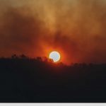 Κάηκε και πάλι η χώρα – 72 πυρκαγιές σε ένα 24ωρο