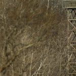 Κύμα συμπαράστασης στον κτηνοτρόφο που πάλεψε με Τούρκους στον Έβρο