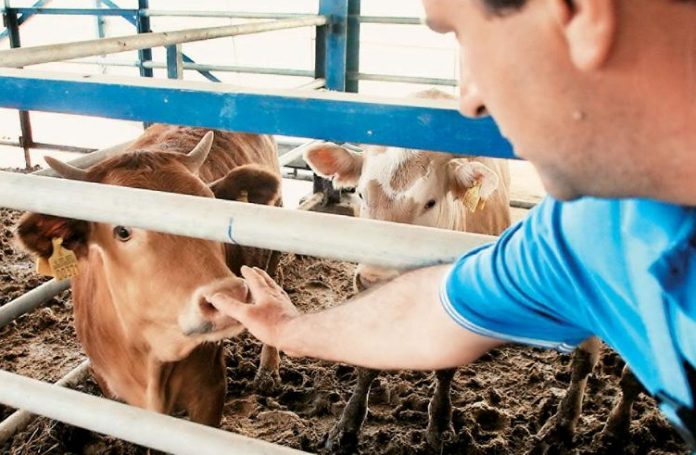 Ζητείται Εργάτης για κτηνοτροφική μονάδα
