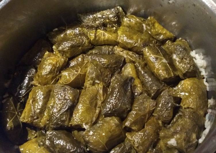 Ζητείται Εργάτρια Παραγωγής (με ειδικότητα σε ντολμαδάκια)