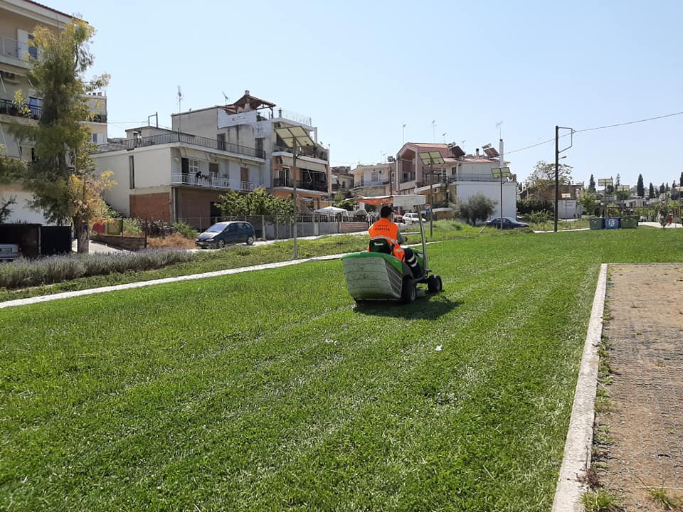 Ζητούνται ανειδίκευτοι εργάτες για εργασίες συντήρησης πρασίνου