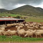 Ζητείται Εργάτης για κτηνοτροφική μονάδα (Μισθός 900€)