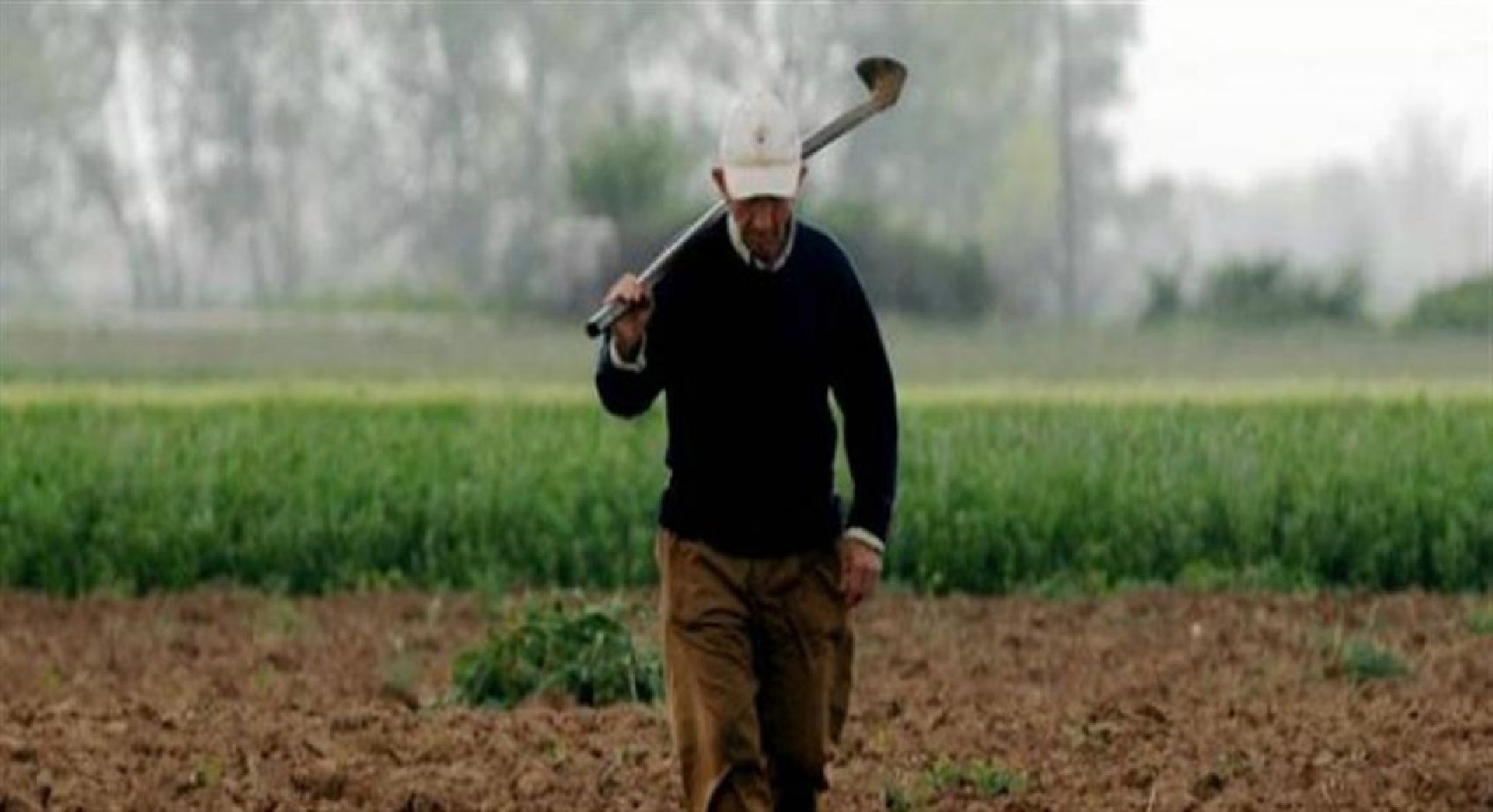 Ζητείται Εργάτης Αγροτικών Εργασιών