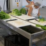 Ζητούνται Άτομα συσκευασία φρούτων και λαχανικών (Μισθός 650€)