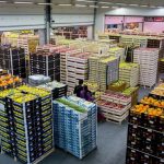 Ζητείται εργάτης για αποθήκη φρέσκων τροφίμων (Μισθός 900€)
