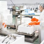 Ζητείται Προσωπικό σε συσκευαστήριο ψαριών