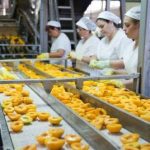 Ζητούνται Εργάτριες για συσκευασία φρούτων (Μισθός 900€)