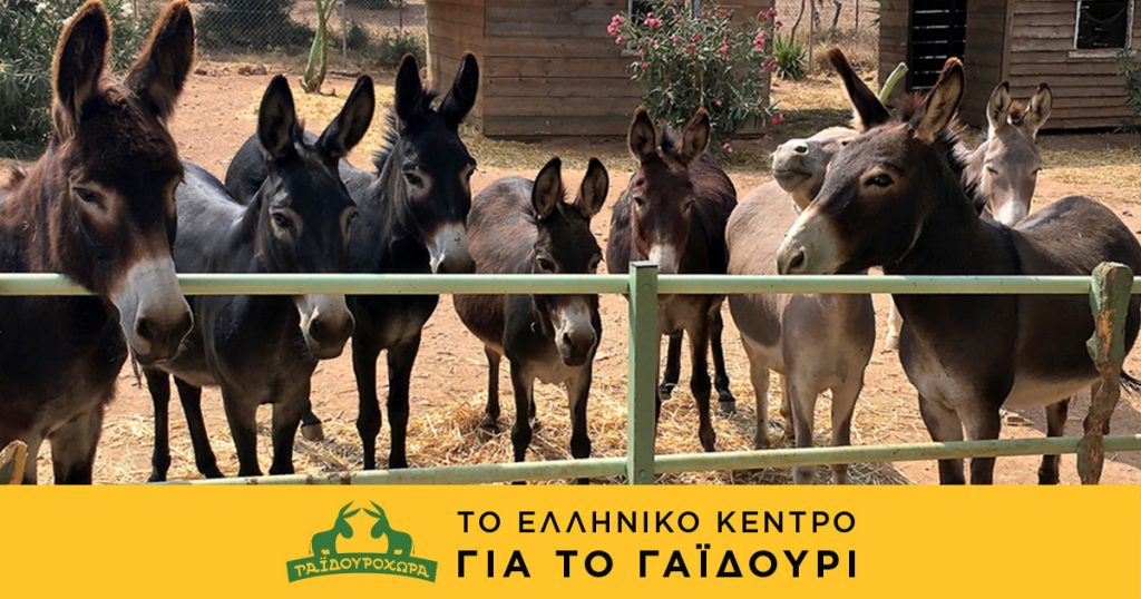 Ζητούνται Κοπέλες Υπάλληλοι από το Ελληνικό Κέντρο για το Γαϊδούρι
