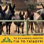 Ζητούνται Κοπέλες Υπάλληλοι από το Ελληνικό Κέντρο για το Γαϊδούρι