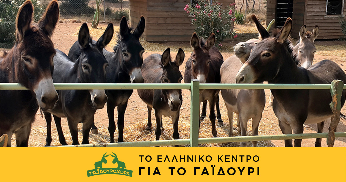 Ζητούνται Κοπέλες Υπάλληλοι από το Ελληνικό Κέντρο για το Γαϊδούρι