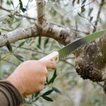 Ζητείται Εργάτης για αγροτικές χειρωνακτικές εργασίες