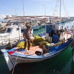 Ζητείται Ψαράς για Παράκτια Αλιεία