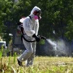 Ζητείται Προσωπικό για τα έργα καταπολέμησης κουνουπιών