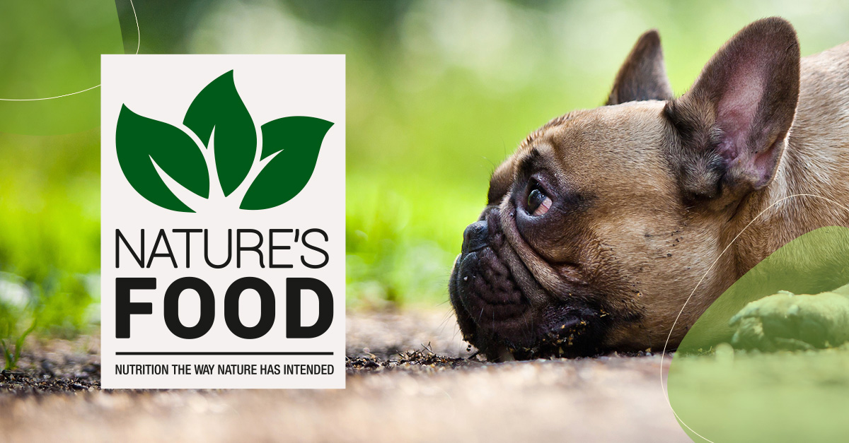 Ζητούνται Εργάτες Παραγωγής από τη Real Natures Food