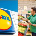 Ζητείται Υπάλληλος Καταστήματος Lidl Ελλάς (535€/4ωρη/5ήμερη απασχόληση)
