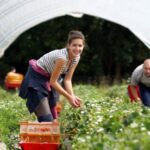Ζητείται ζευγάρι ή οικογένεια για εργασία σε ιδιωτική φάρμα