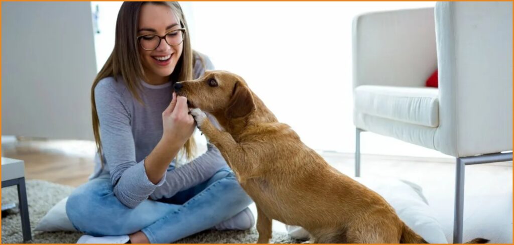 Ζητείται Pet sitter για να φροντίζει κατοικίδιο (15€/ώρα)