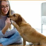 Ζητείται Pet sitter για να φροντίζει κατοικίδιο (15€/ώρα)