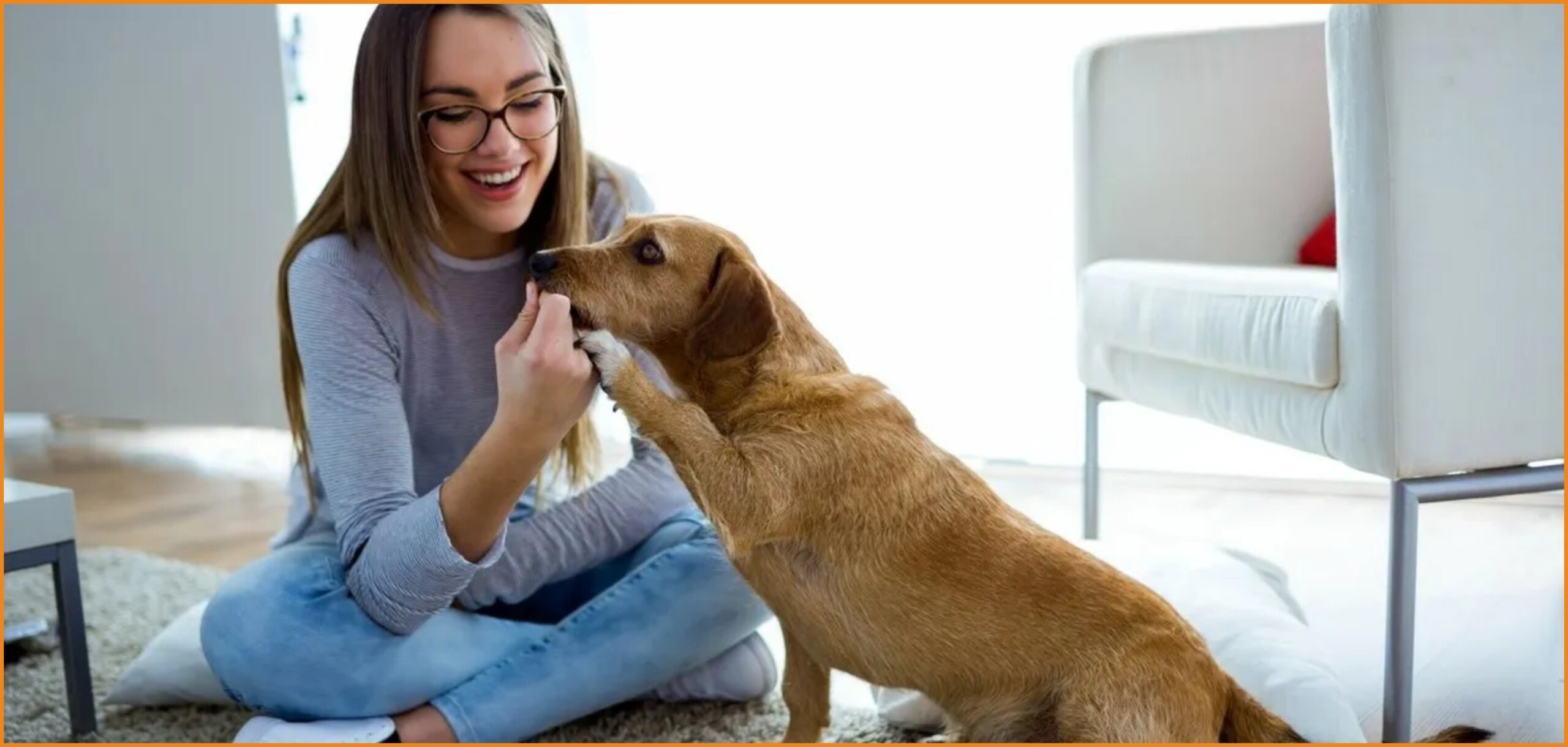 Ζητείται Pet sitter για να φροντίζει κατοικίδιο (15€/ώρα)