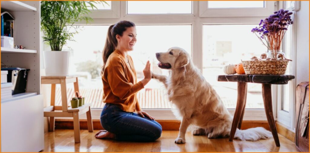 Ζητείται Pet sitter για φροντίδα κατοικιδίου (Αμοιβή €20/ώρα)