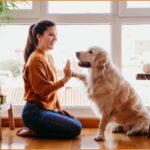 Ζητείται Pet sitter για φροντίδα κατοικιδίου (Αμοιβή €20/ώρα)
