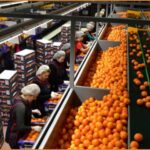 Ζητούνται Εργάτες από βιοτεχνία τροφίμων για μόνιμη απασχόληση (Μισθός 750€)