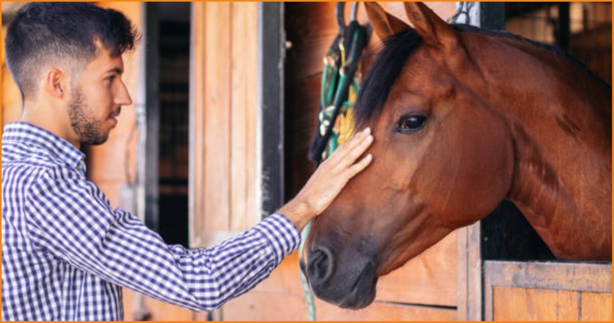 Ζητείται σταβλίτης (horse groom) για τη φροντίδα αλόγων σε ιδιωτική οικία