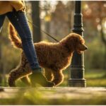 Pet sitter ζητείται για βόλτα σκύλου & τάισμα (Μερική απασχόληση-15€/ώρα)
