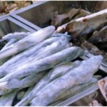 Ζητείται πωλητής από ψαράδικο για άμεση πρόσληψη