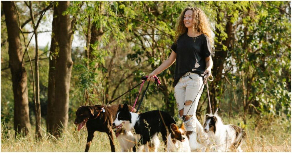 Άτομα για βόλτες σκύλων (dog walkers) ζητούνται για 4ωρη εργασία