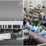 Εργάτες/εργάτριες παραγωγής & συσκευασίας ζητούνται από την Ιωνική Σφολιάτα Α.Ε