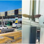 Αυξήσεις στις τιμές διοδίων από 1η Ιανουαρίου: Πώς επηρεάζονται οι μετακινήσεις