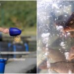 Εργάτες ιχθυοκαλλιέργειας ζητούνται για πενθήμερη πλήρη απασχόληση