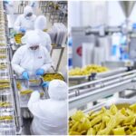 Εταιρεία προϊόντων διατροφής ζητά εργάτριες & εργάτες παραγωγής, συσκευασίας κ.α.