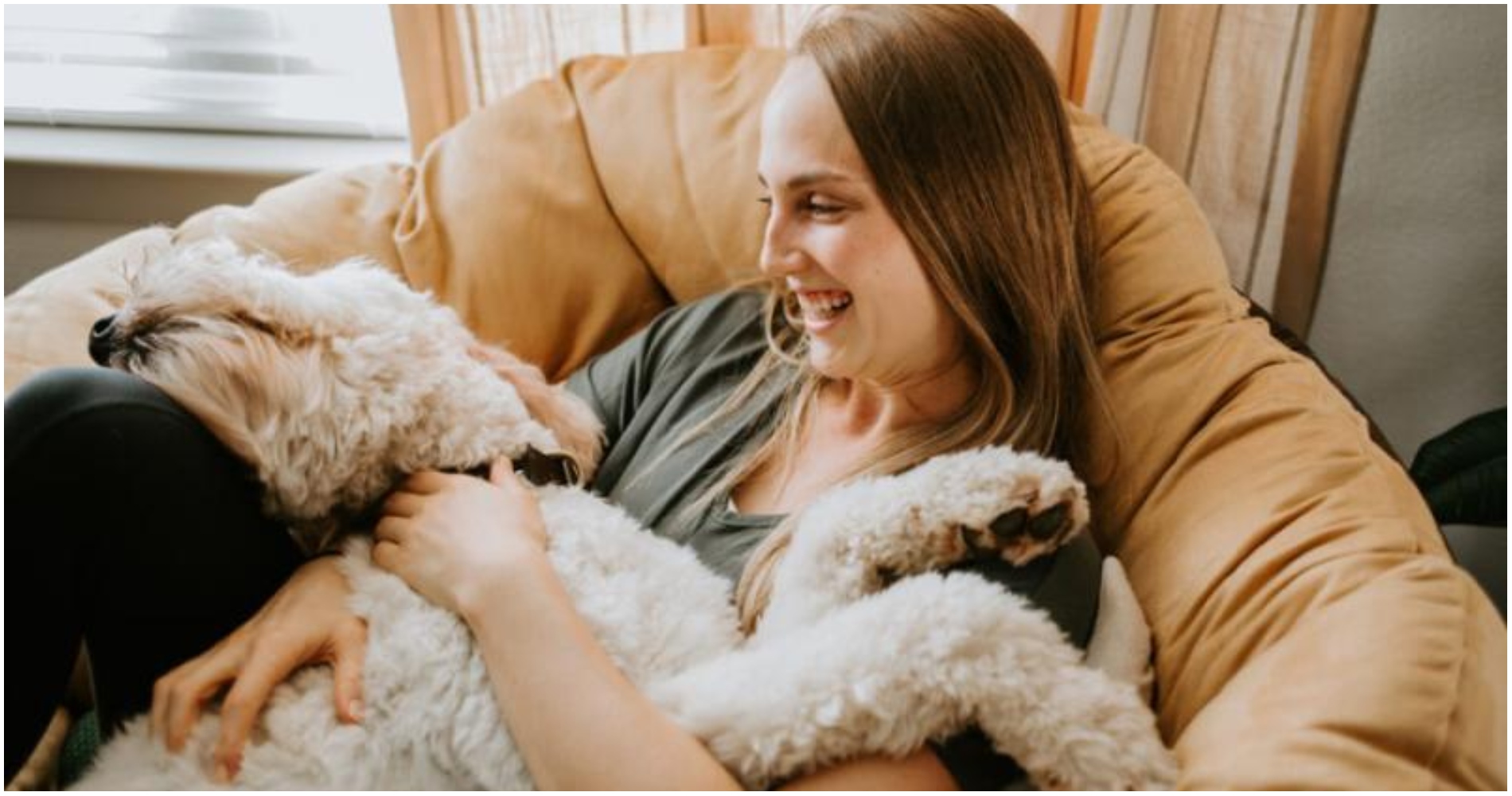 Pet Sitter ζητείται για Μερική απασχόληση