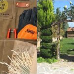 Υπεύθυνος Συντήρησης & Διαχείρισης Κήπων ζητείται από Εταιρεία