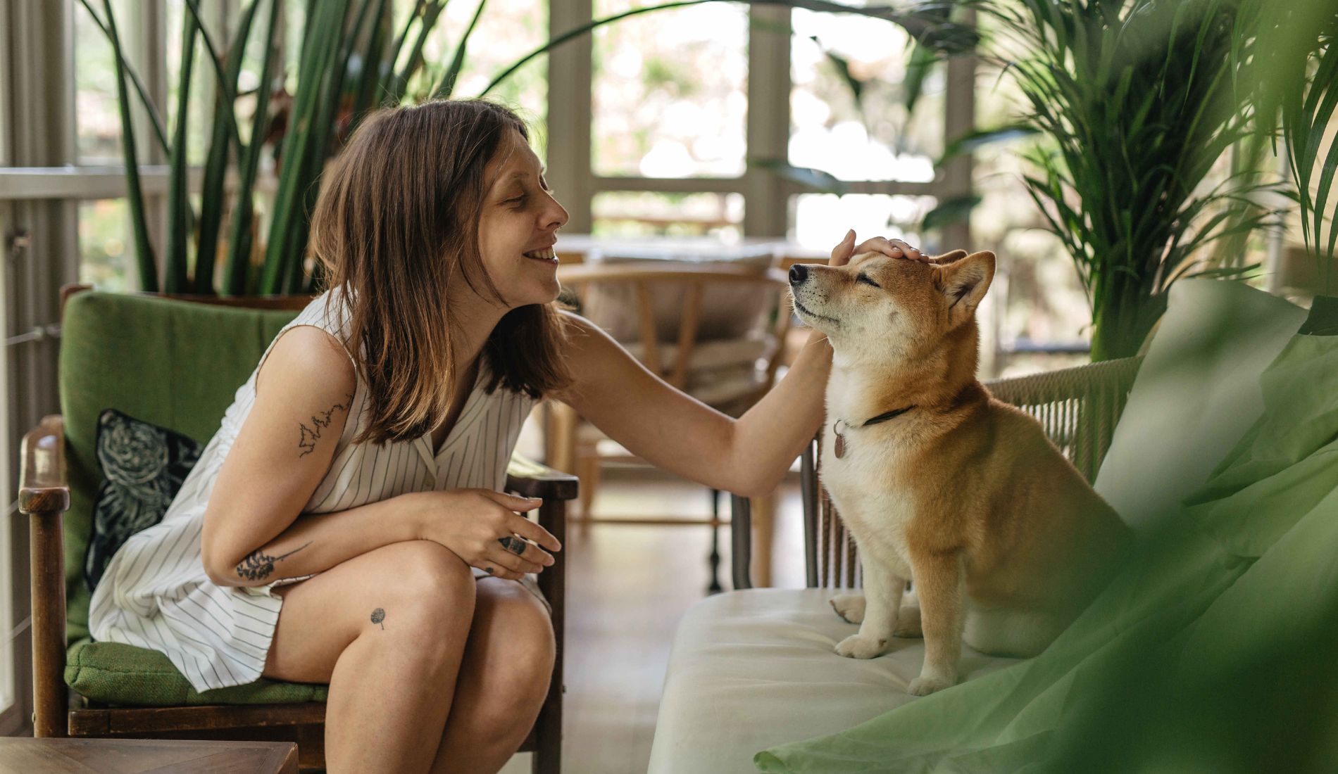 Pet sitter ζητείται για φροντίδα κατοικίδιου