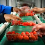 Συσκευάστρια ή συσκευαστής ζητείται από εταιρεία πώλησης φρούτων & λαχανικών