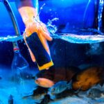 Aquarist ζητείται για το ενυδρείο εμπορικού κέντρου