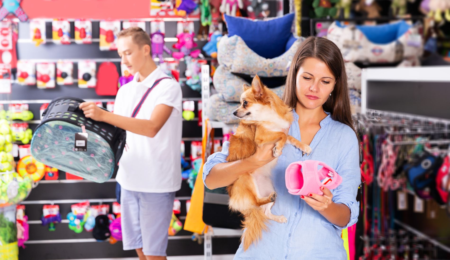 Υπάλληλος ζητείται από κατάστημα Pet Shop για μερική απασχόληση
