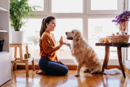 Pet sitter ζητείται για φιλοξενία σκύλου μια μέρα το μήνα