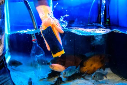 Aquarist ζητείται από γνωστό ενυδρείο για πενθήμερη πρωινή απασχόληση