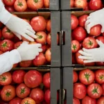 Εργάτες & εργάτριες ζητούνται από εργοστάσιο επεξεργασίας λαχανικών